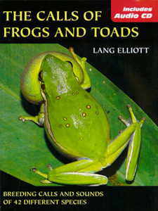 frogs_toads