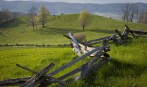 Appalachian Field from Shutterstock