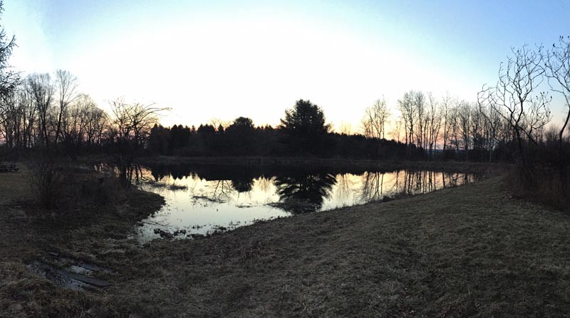 Pond at Dawn