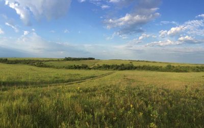 August Prairiesong – Podcast Prototype
