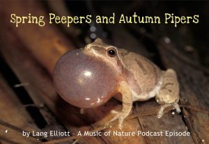 Spring Peepers & Autumn Pipers cover photo