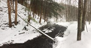 Shindagin Hollow in Winter