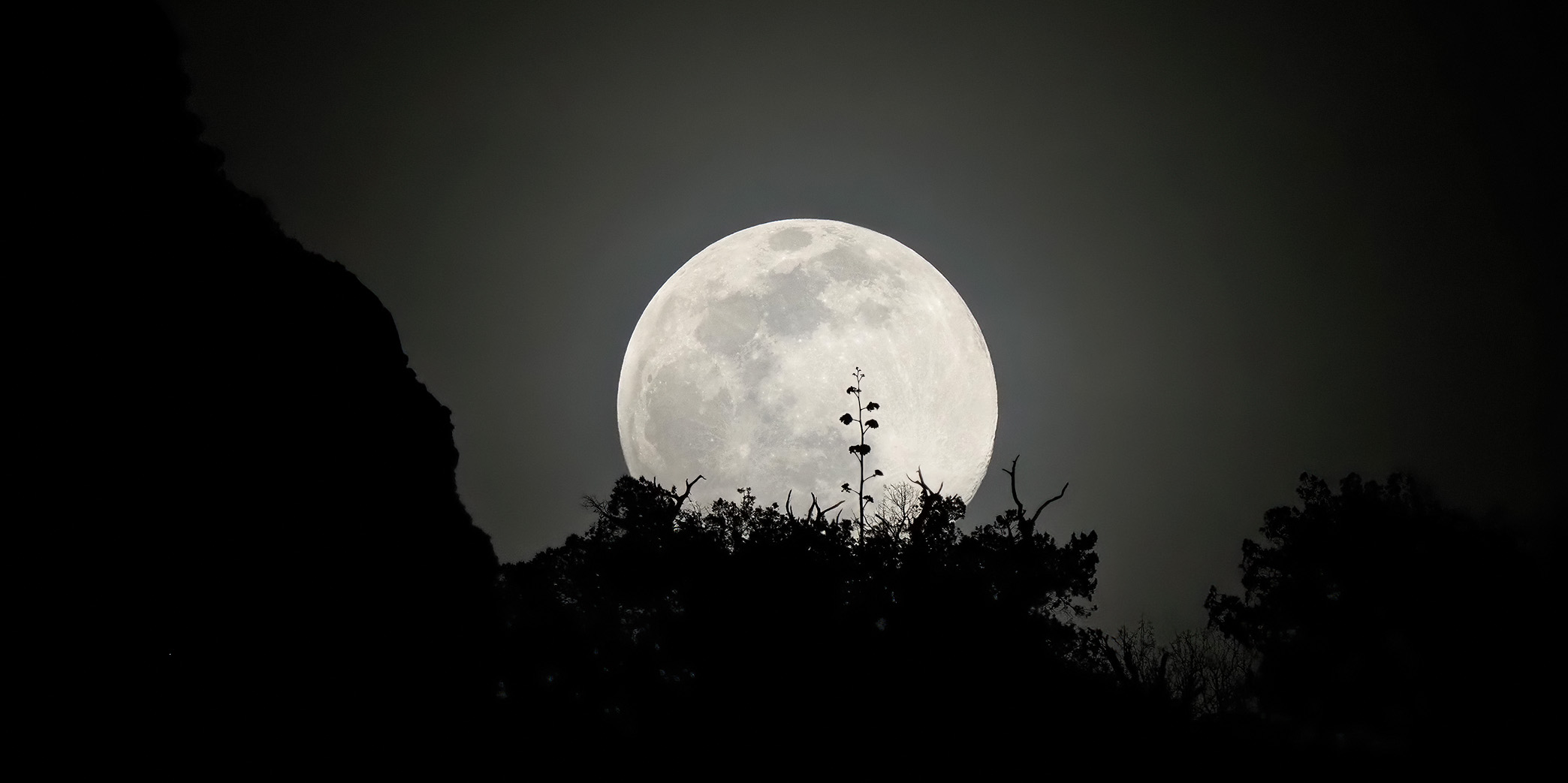Moonrise in Aravaipa Canyon © Lang Elliott