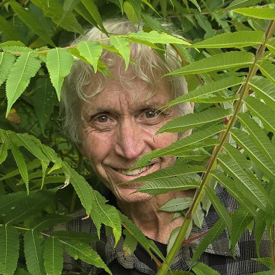 Photo ortrait of Lang