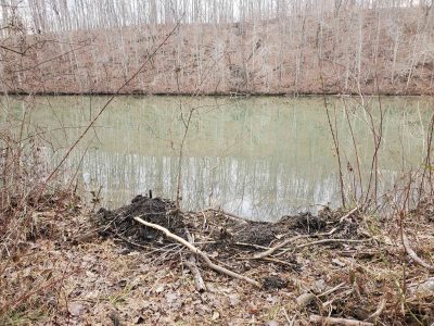 20260206_145618_compress1