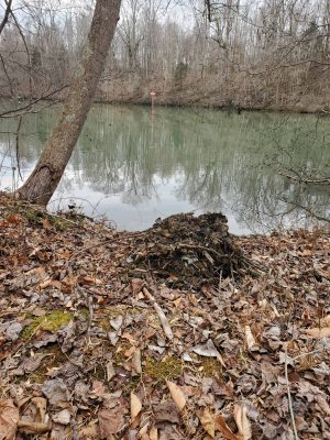 20260206_145846_compress9