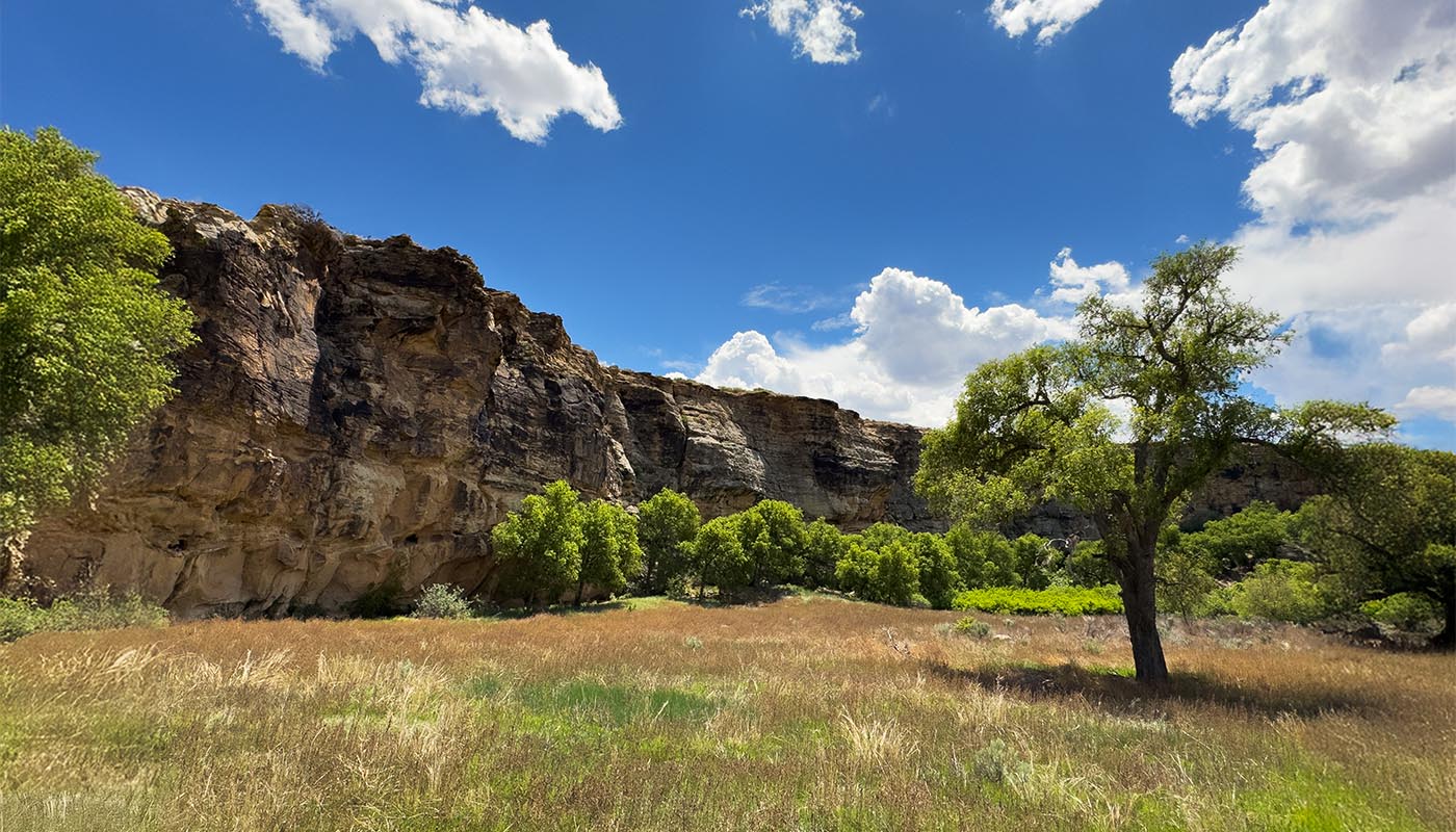 Picture Canyon, Comanche National Grasslands, © Lang Elliott Picture Canyon, Comanche National Grasslands, © Lang Elliott